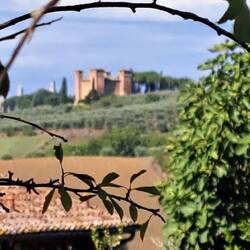 Artistic Castle photo