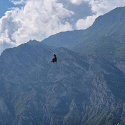 Frau auf der Slagline hier am Gardasee - irre!