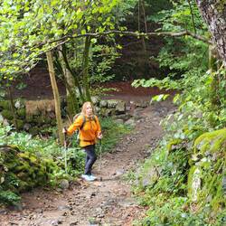 Meandering down beautiful forests of hazel oak and beech