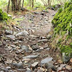 Rocky and slippery underfoot