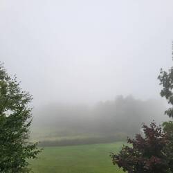 Der Blick aus meinem Zimmer.