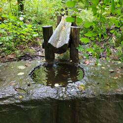 Die Sieg plätschert dahin.