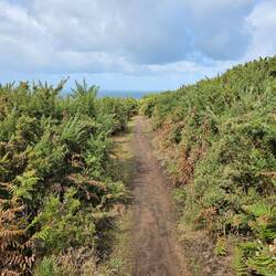 Auf der Rundwanderung