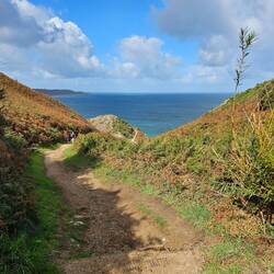 Weg zum Devil's Hole