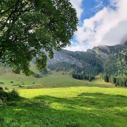 Hier gehts rauf zum Trübsee.