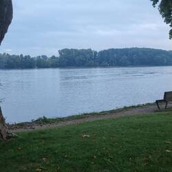 Ruhig fliesst der Rhein