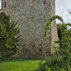 Drumin Castle