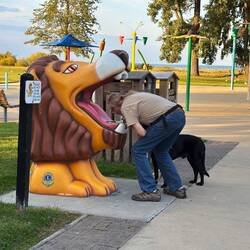 Drinking from the lion's mouth