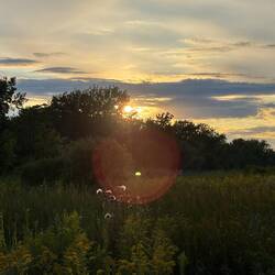 Sunset and the temp is dropping