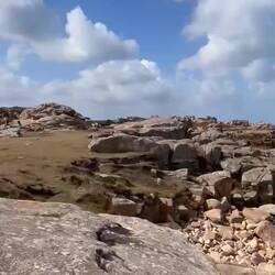 Wie immer, Silkes Kurzvideos 📽️🎬