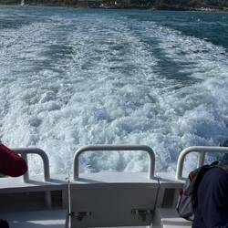 und das hatte es sehr eilig 😉