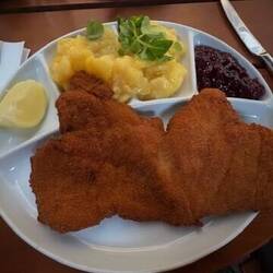 Pflichtprogramm