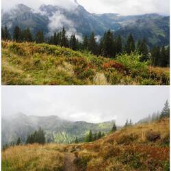 Der Herbst hält Einzug