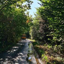 single road track😍