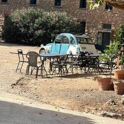 Es gibt noch echte Enten 🦆