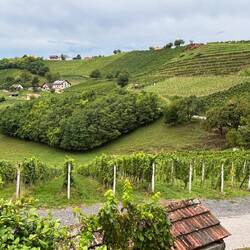 Weingut an der Grenze zu Kroatien