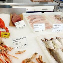 Im Fischladen...