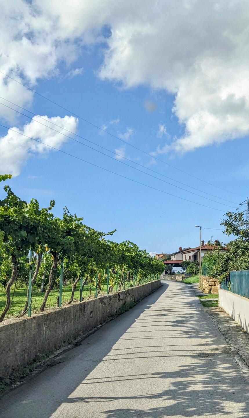 Die Anfahrt durch das kleine Dorf Kubed