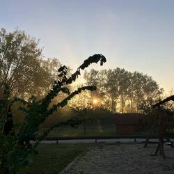 Frühstücken und los geht's zur Stadtbesichtigung