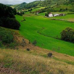 Schwarzwaldidylle