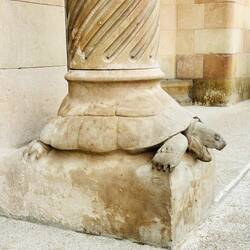 Random turtles in the entrance posts - links to nature