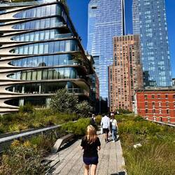 High Line - der grünste Spazierweg durch die City