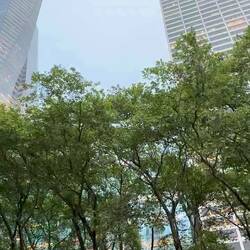 "Carmen" im Bryant Park