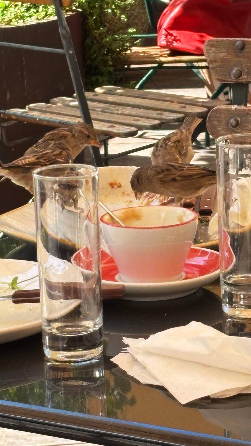 Zunächst natürlich obligatorisches Frühstück im Le Petit Café