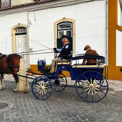 Going for an evening stroll.