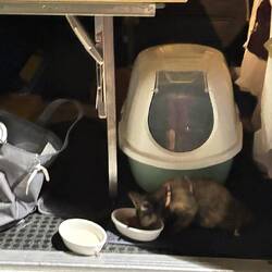 Birdie bekommt natürlich auch Abendessen.