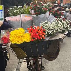 Flower cart