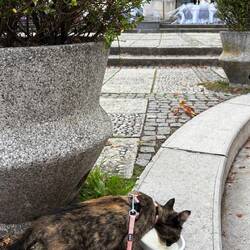 Und hat auch auf einer Burg Hunger