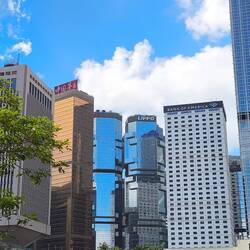 🐼 klettern das Haus hoch