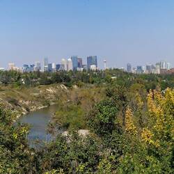 ....in der Stadt und doch weit weg...