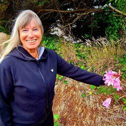 Eine Art Lilien gefunden. Noch nie gesehen.
