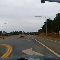 3 x Brücken nach Eureka