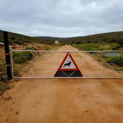 Achtung Kudu!