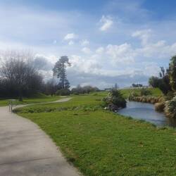 Blenheim river walk
