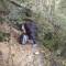 Six mile walk.... Fallen trees and mud aplenty!