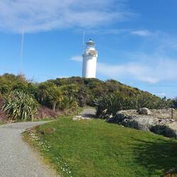 Cape Foulwind