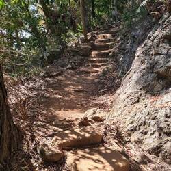 Wanderweg durch den Wald
