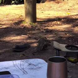 ... interessanter Besucher