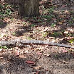 zurück am Campingplatz...