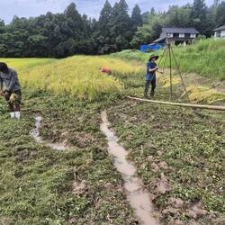 So sahs am Anfang aus...