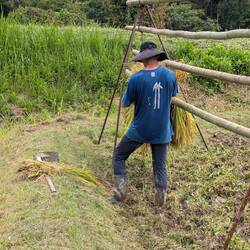 Die ersten werden aufgesteckt