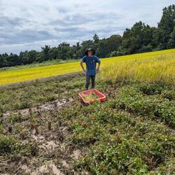 Ganz schön matschig