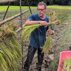 Aufstecken der Bündel