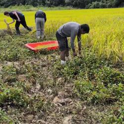 Noch nicht sehr effektiv...