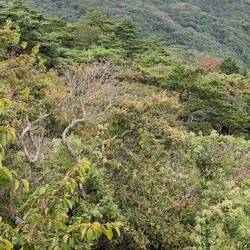 Mount Rocco Garden Terrace
