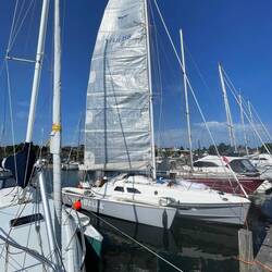 Zum ersten Mal das Gross gesetzt